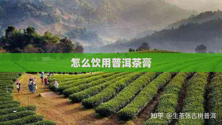 怎么饮用普洱茶膏