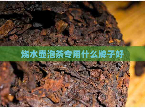 烧水壶泡茶专用什么牌子好