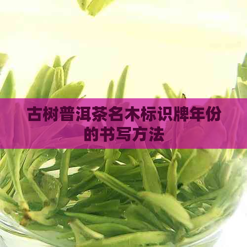 古树普洱茶名木标识牌年份的书写方法