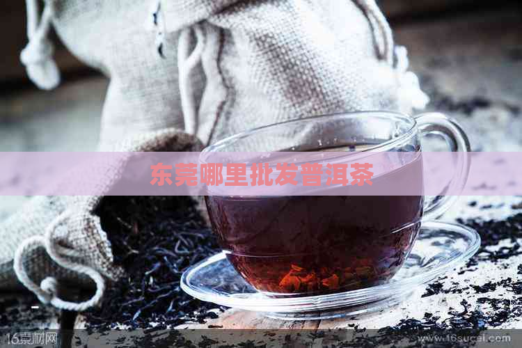 东莞哪里批发普洱茶