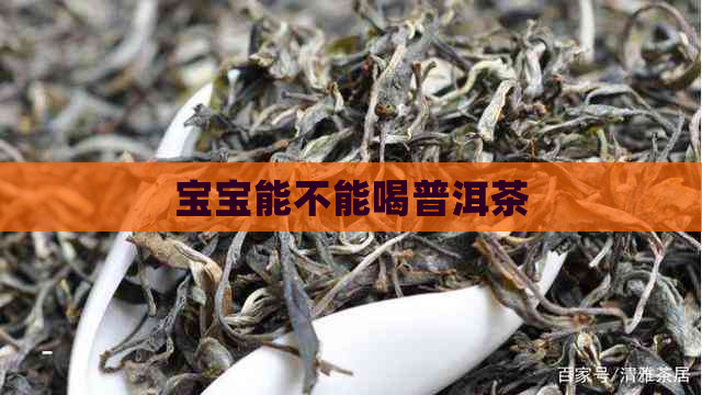 宝宝能不能喝普洱茶