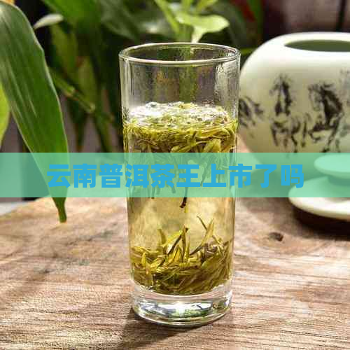 云南普洱茶王上市了吗