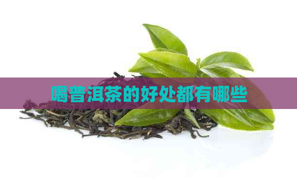 喝普洱茶的好处都有哪些