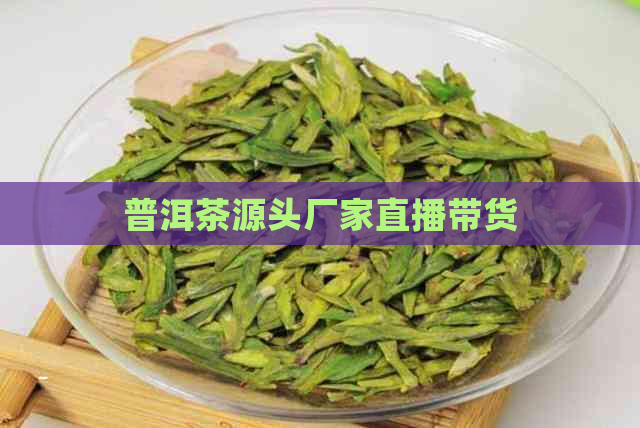 普洱茶源头厂家直播带货