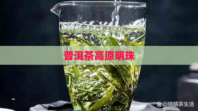 普洱茶高原明珠