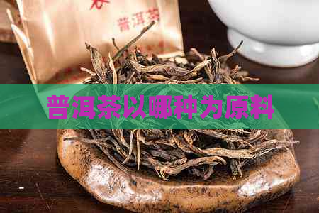 普洱茶以哪种为原料