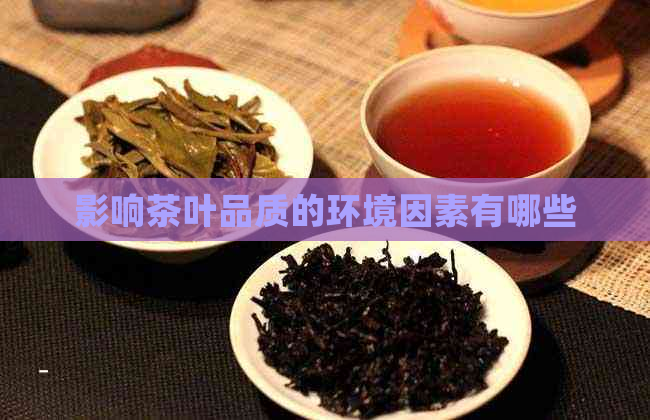 影响茶叶品质的环境因素有哪些