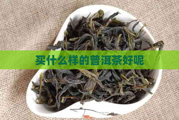 买什么样的普洱茶好呢