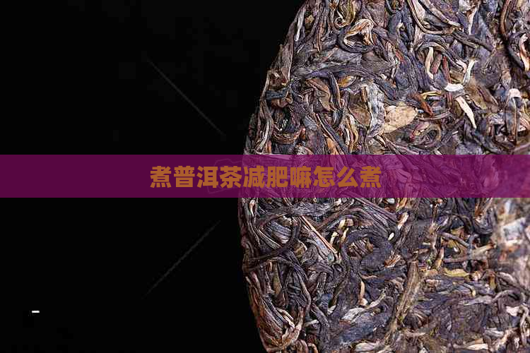 煮普洱茶减肥嘛怎么煮