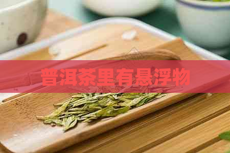 普洱茶里有悬浮物