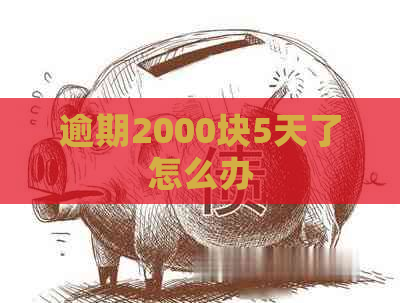 逾期2000块5天了怎么办