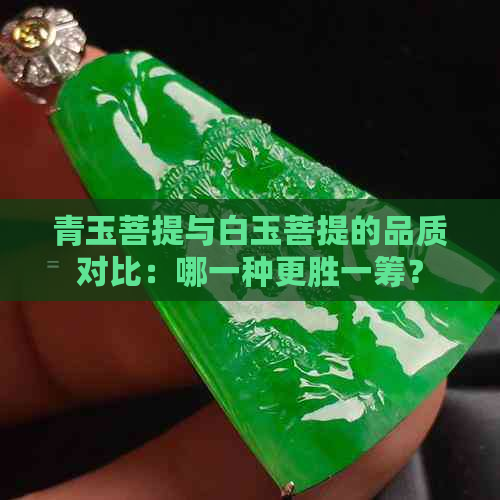 青玉菩提与白玉菩提的品质对比：哪一种更胜一筹？