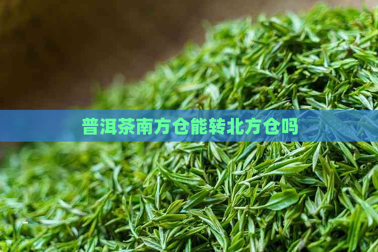 普洱茶南方仓能转北方仓吗