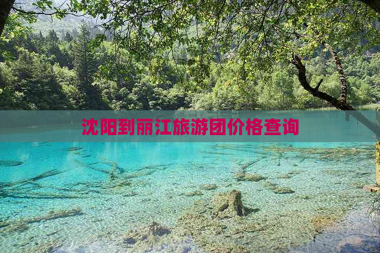 沈阳到丽江旅游团价格查询