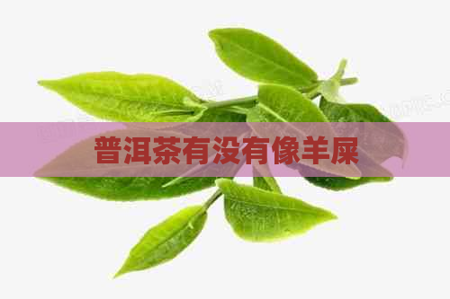 普洱茶有没有像羊屎