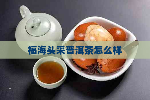 福海头采普洱茶怎么样