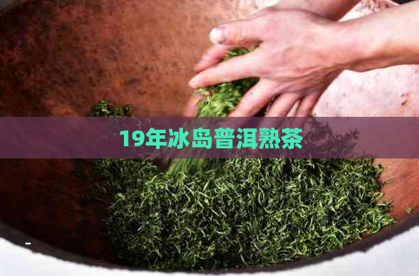 19年冰岛普洱熟茶