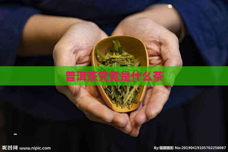 普洱茶究竟是什么茶