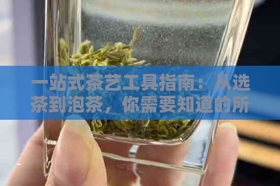 一站式茶艺工具指南：从选茶到泡茶，你需要知道的所有工具和技巧