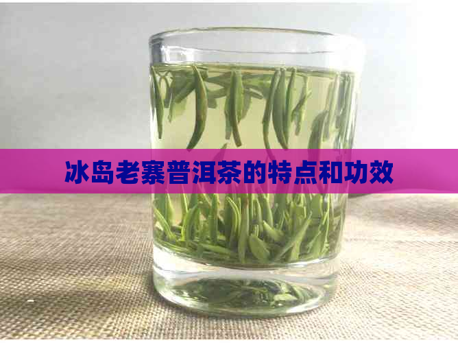 冰岛老寨普洱茶的特点和功效