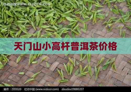 天门山小高杆普洱茶价格