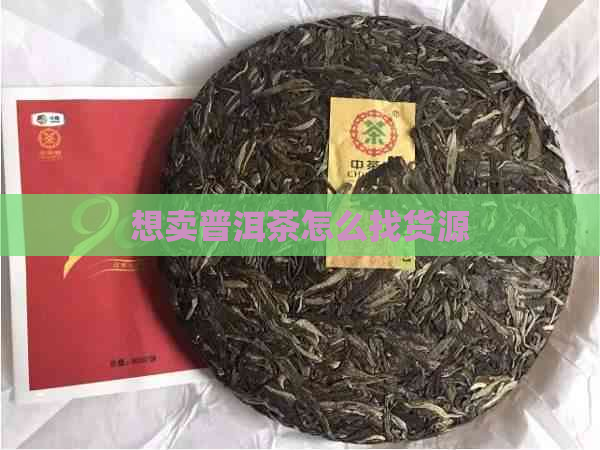 想卖普洱茶怎么找货源