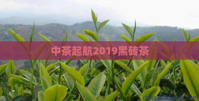 中茶起航2019黑砖茶