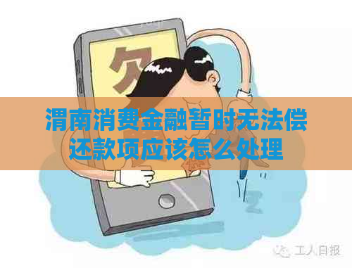 渭南消费金融暂时无法偿还款项应该怎么处理