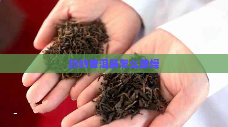 新的普洱茶怎么除燥