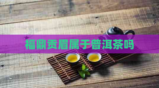 福鼎贡眉属于普洱茶吗