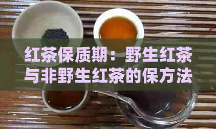 红茶保质期：野生红茶与非野生红茶的保方法和有效期限一览