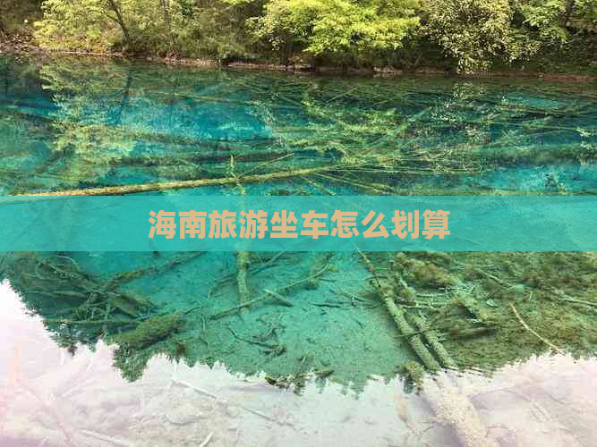 海南旅游坐车怎么划算