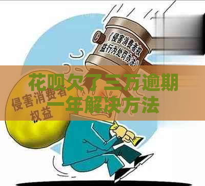 花呗欠了三万逾期一年解决方法