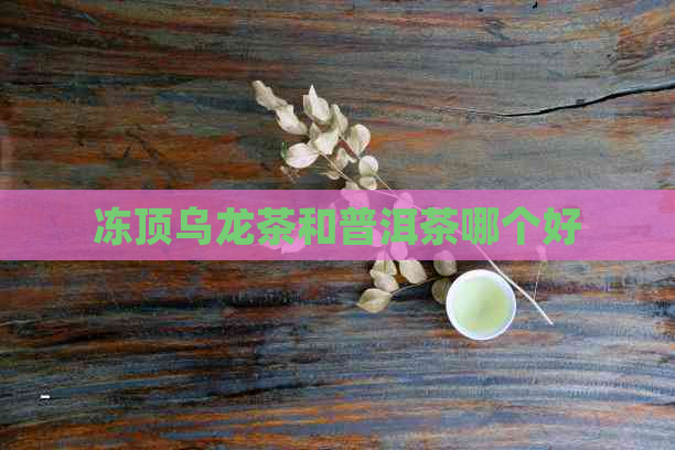 冻顶乌龙茶和普洱茶哪个好