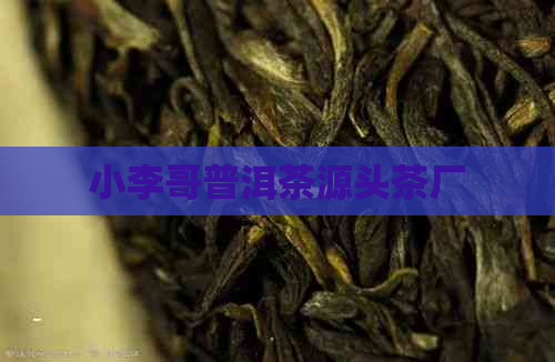 小李哥普洱茶源头茶厂