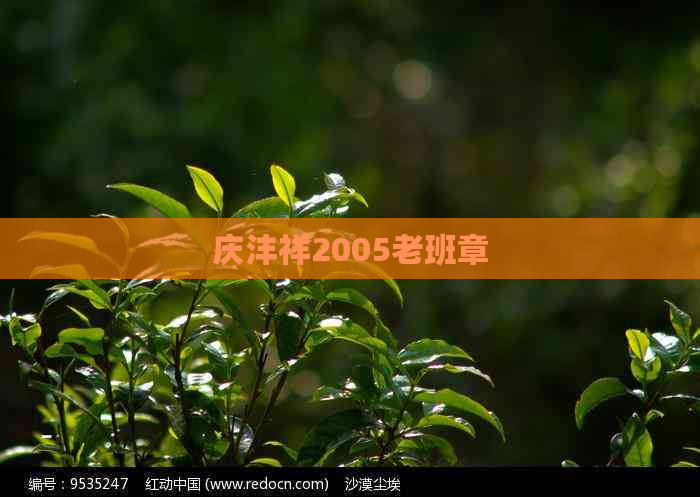 庆沣祥2005老班章