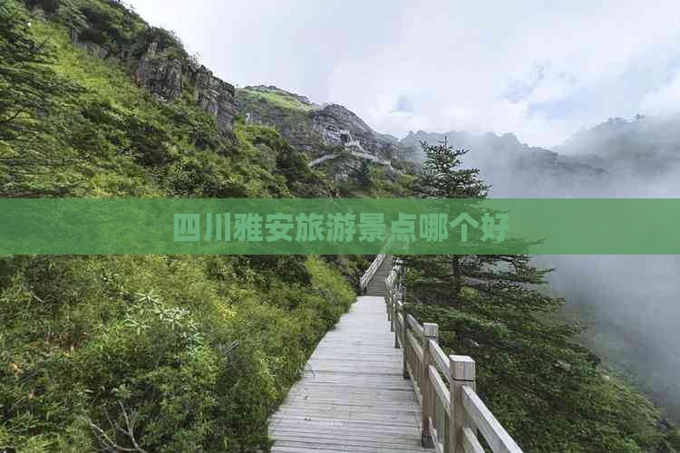 四川雅安旅游景点哪个好