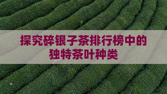 探究碎银子茶排行榜中的独特茶叶种类