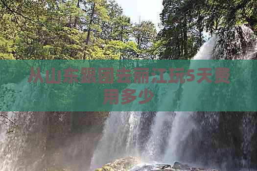 从山东跟团去丽江玩5天费用多少