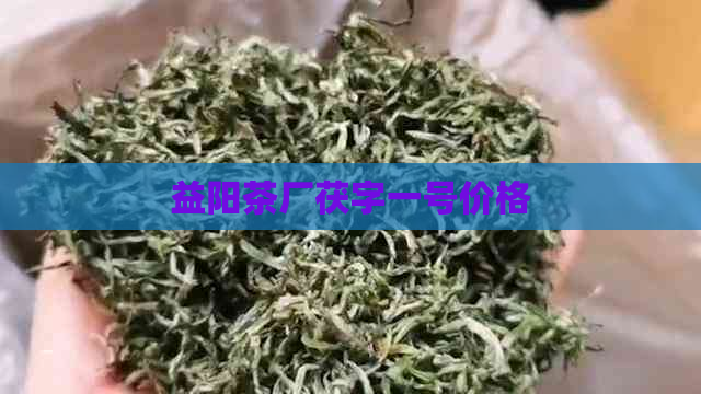 益阳茶厂茯字一号价格