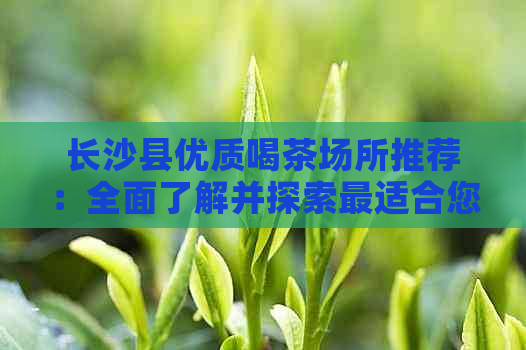 长沙县优质喝茶场所推荐：全面了解并探索最适合您的品茗之地