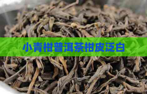 小青柑普洱茶柑皮泛白