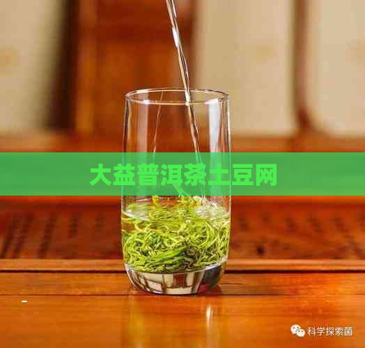 大益普洱茶土豆网