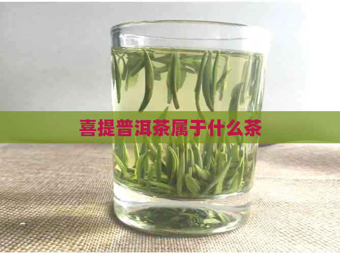 喜提普洱茶属于什么茶