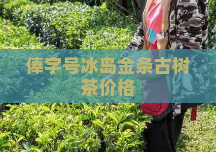 俸字号冰岛金条古树茶价格