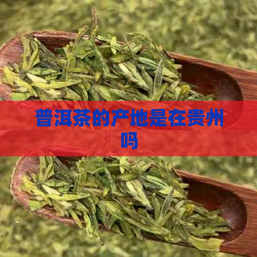 普洱茶的产地是在贵州吗