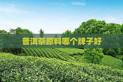 普洱茶原料哪个牌子好