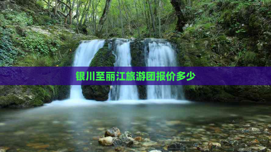 银川至丽江旅游团报价多少