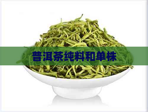 普洱茶纯料和单株