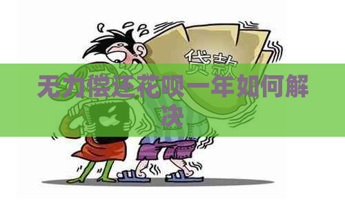 无力偿还花呗一年如何解决